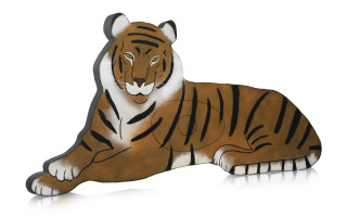 Tigris image